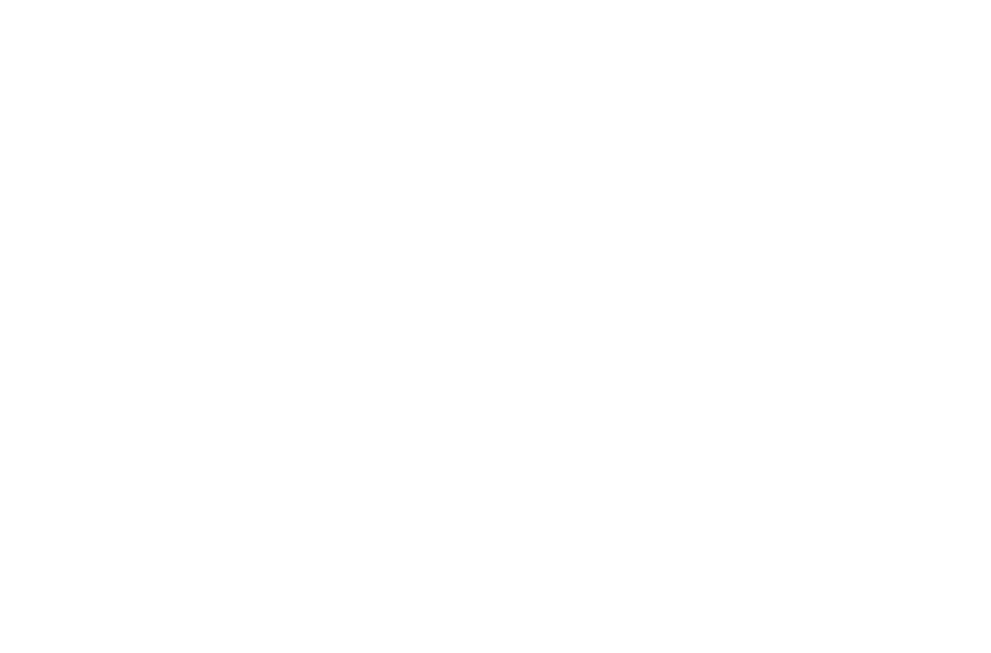 Torii Logo